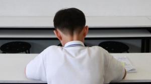 Testing times: selective schools and tiger parents