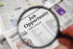 5 Essential Job Hunting Tips for Graduate Students in Australia